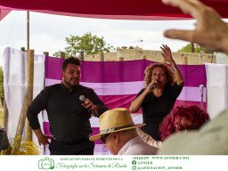 Festival Mar de Tethys 2026 - Bodega Vetas